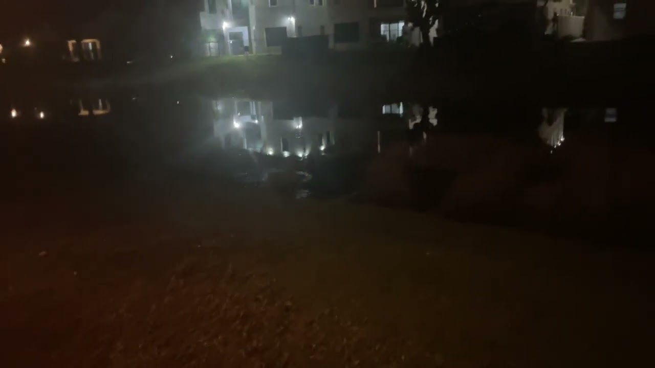 7 de febrero de 2026