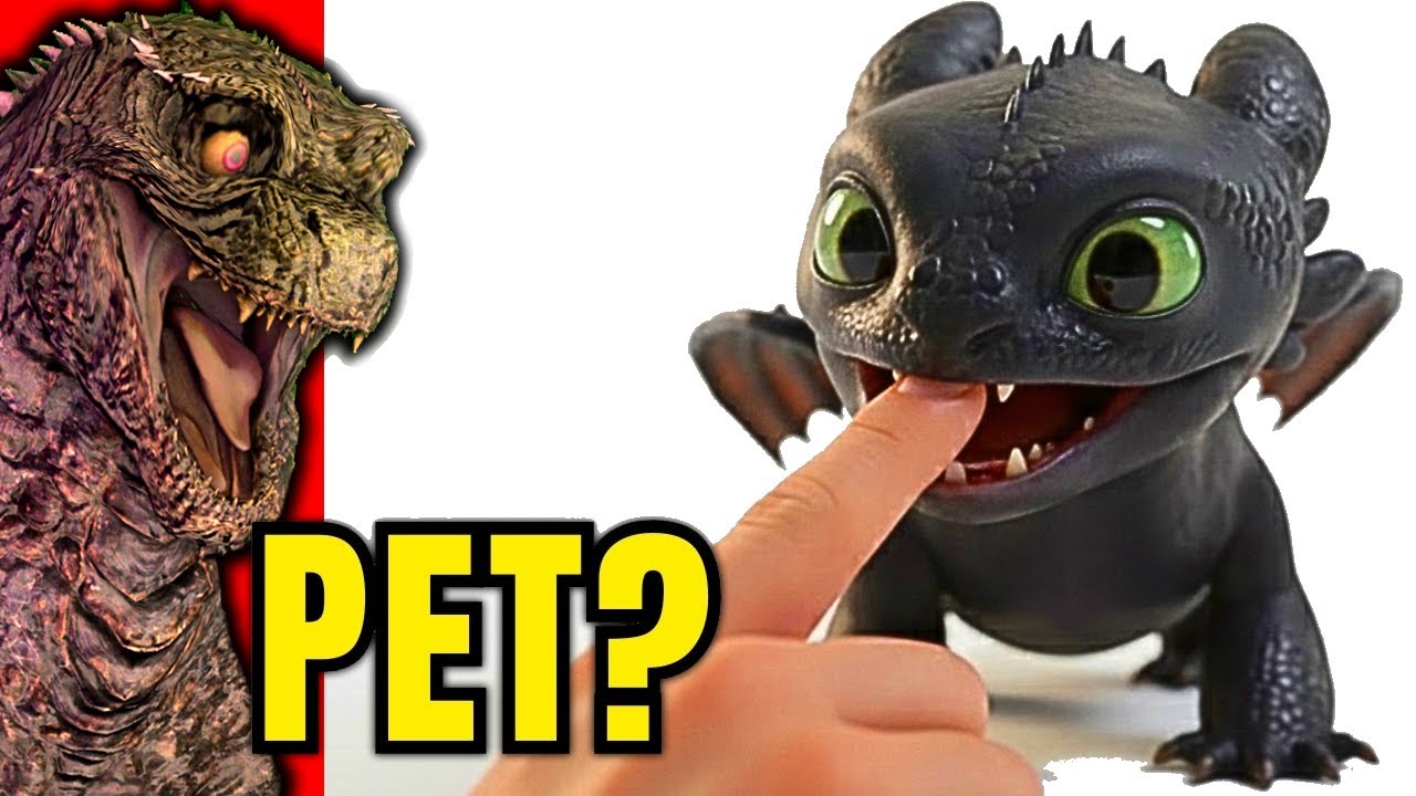 I Got Toothless as a Pet