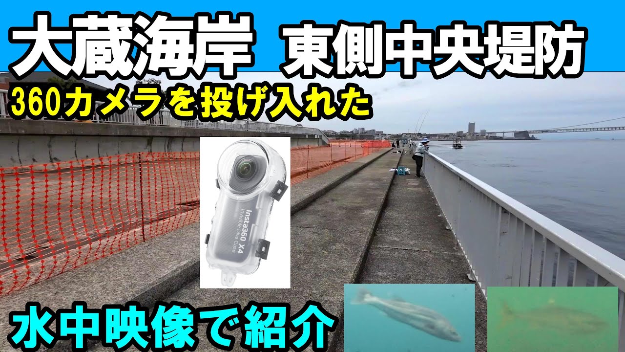 【水中カメラがとらえた】大蔵海岸中央堤防の魚の群れ！360度映像で釣り場を攻略！