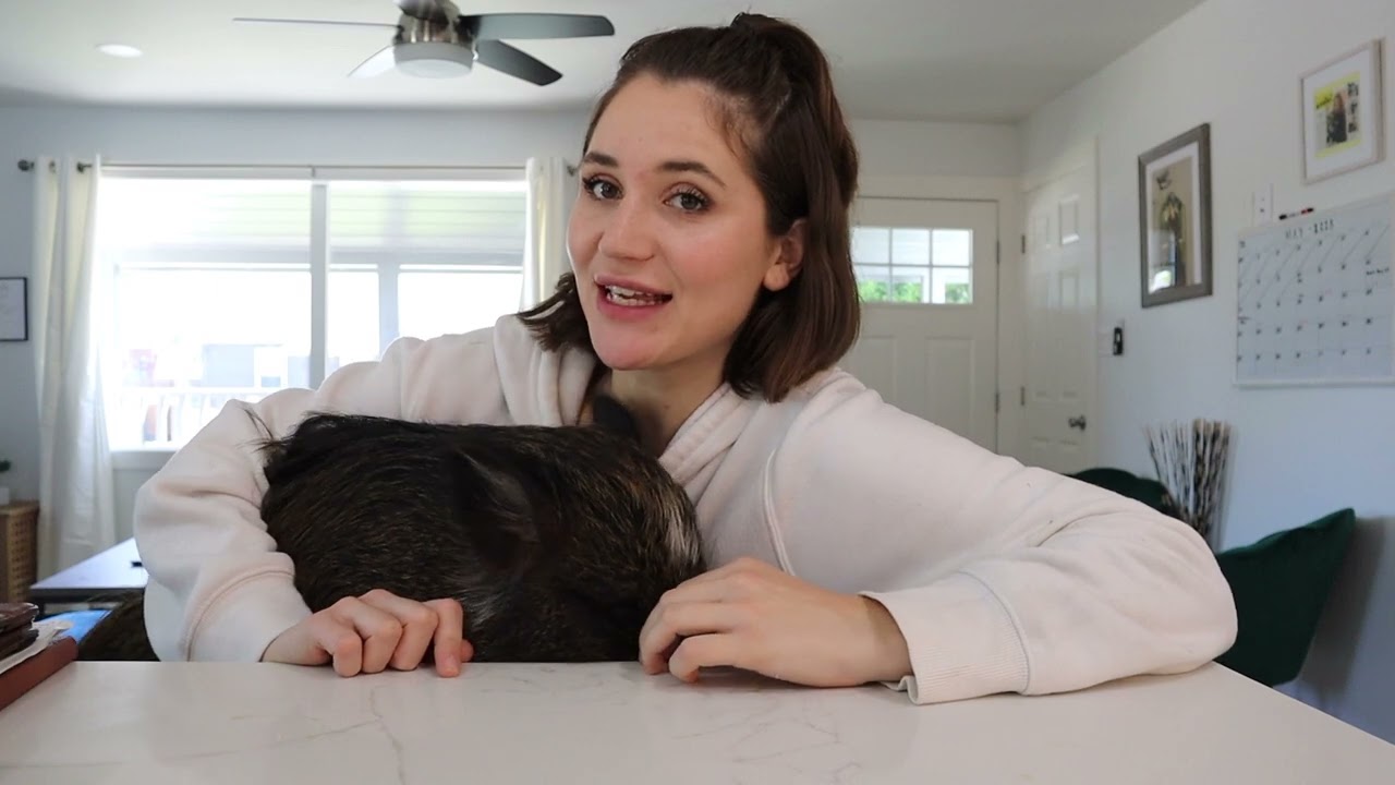 day at home with merlin, children's book updates, & a new haircut