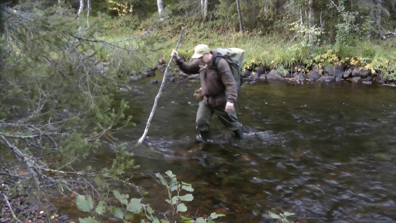Yö ulkona 2. Metsän peitto?
