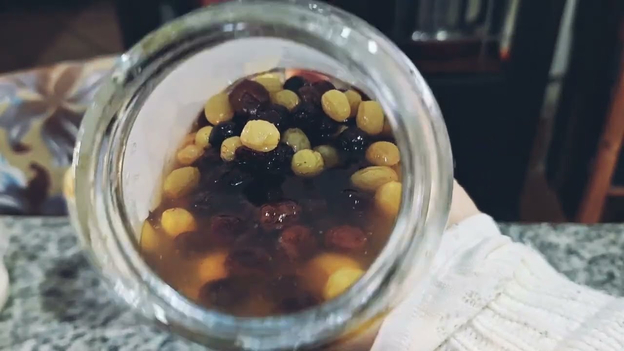 Criando um levain do ZERO a partir das uvas passas e SEM Desperdício de FARINHA!!! Fácil fácil!