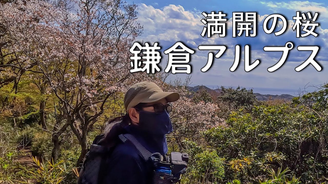 【鎌倉アルプス】古都の山歩き・天園ハイキングコース【北鎌倉駅スタート】