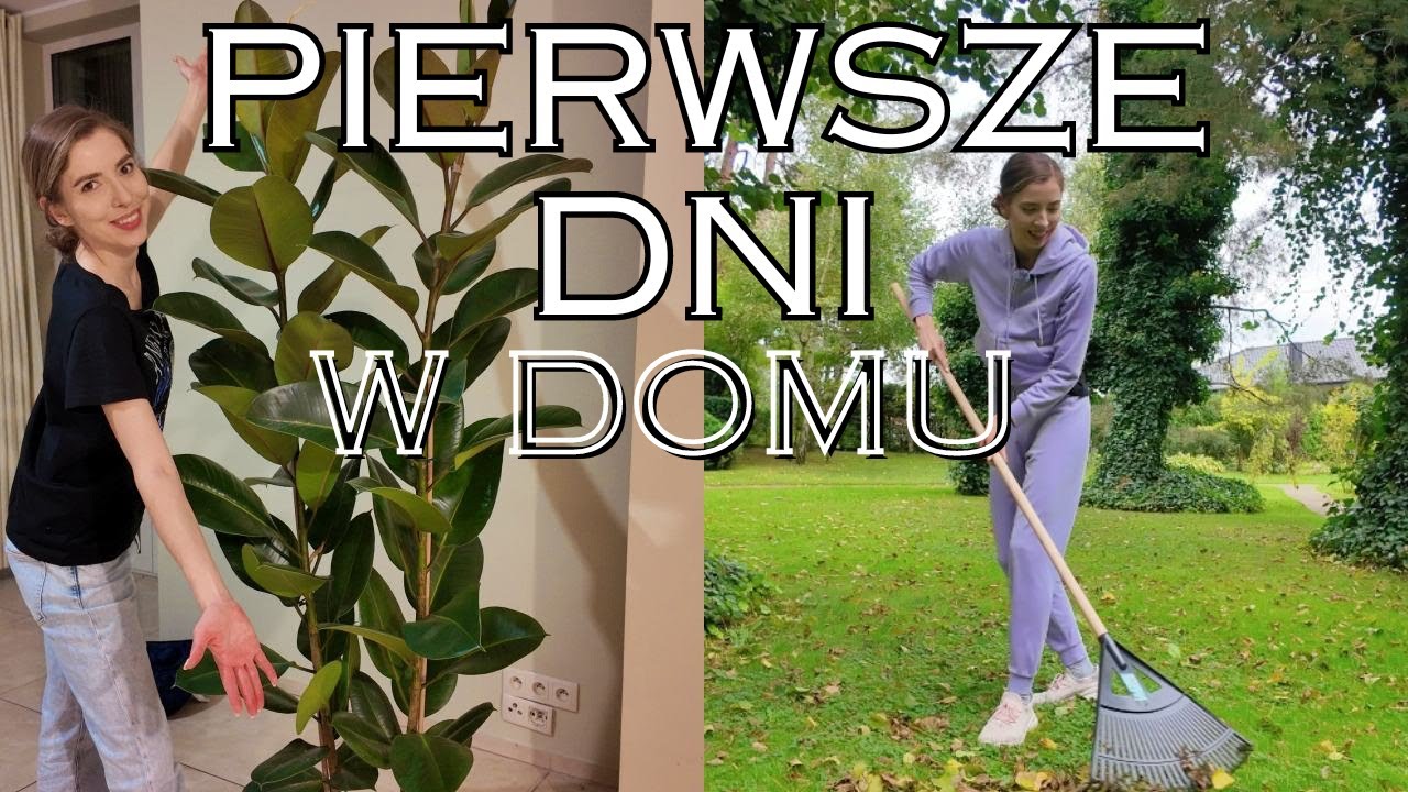 Pierwsze dni w nowym domu + Zakupy, które mnie zaskoczyły!