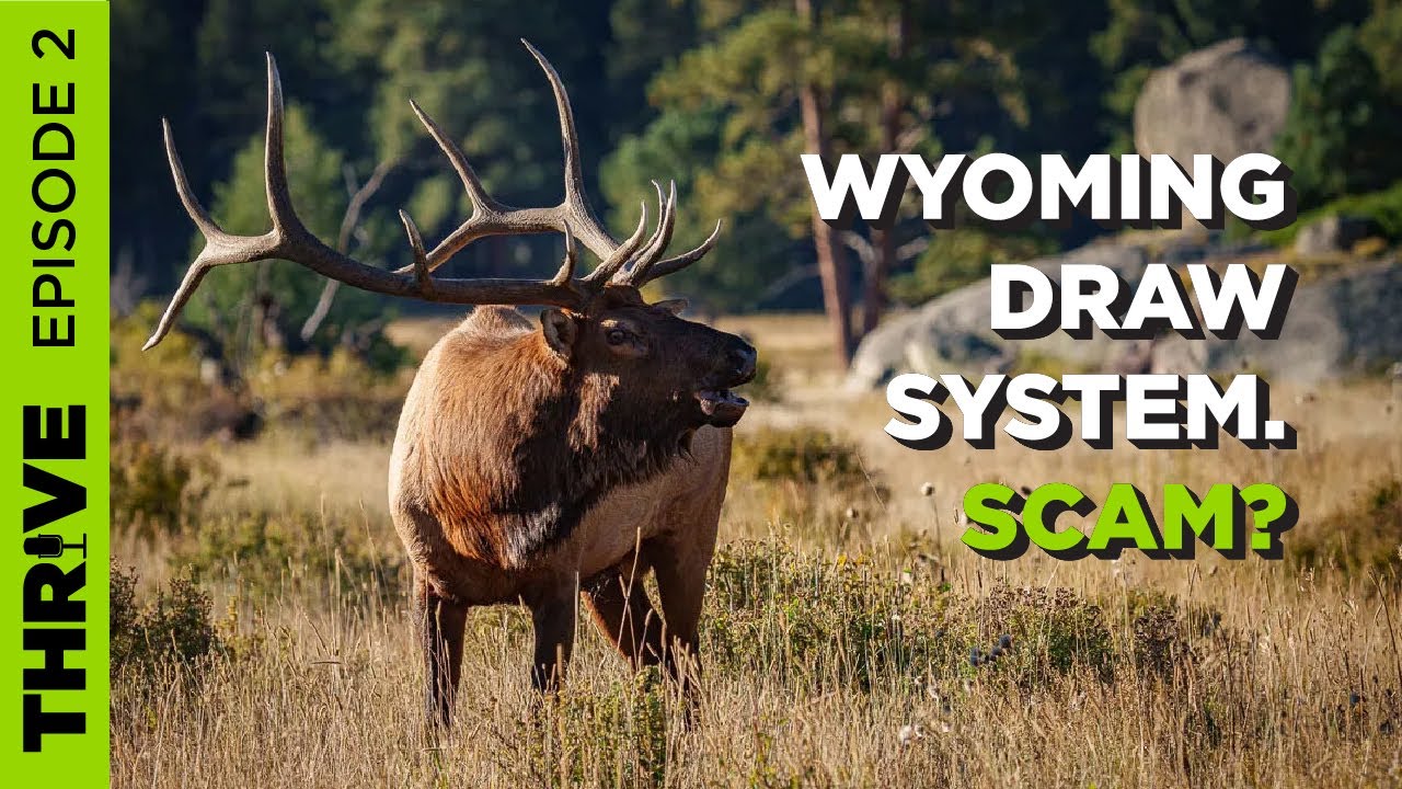 EP. 2 WINNING THE WYOMING ELK TAG GAME - IS IT POSSIBLE?