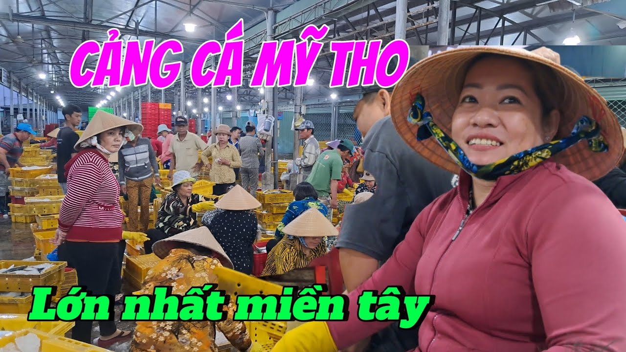 10 : Cảng cá Mỹ Tho ngập tràn cá biển giá rẻ