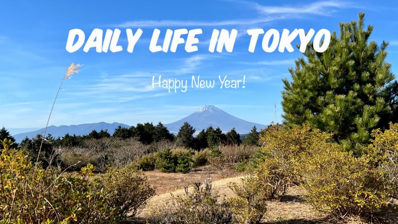 Celebrating the Japanese New Year, Trip to Kusatsu Onsen, Healing Drive to Izu | Japan Diaries Vlog