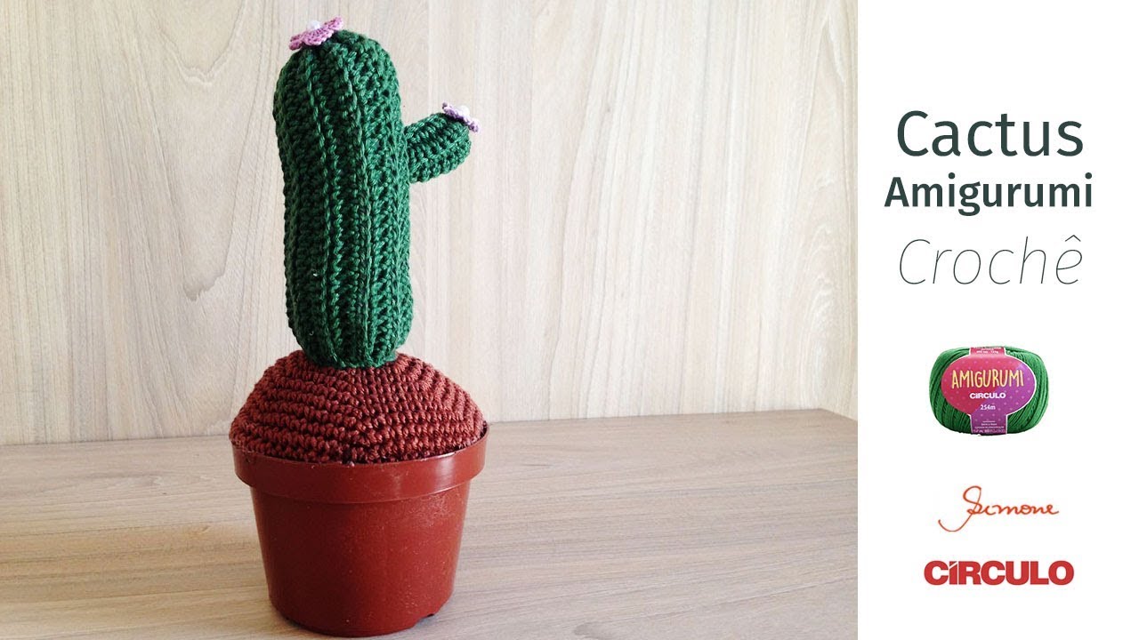 Cactus em Crochê passo a passo professora Simone Eleotério