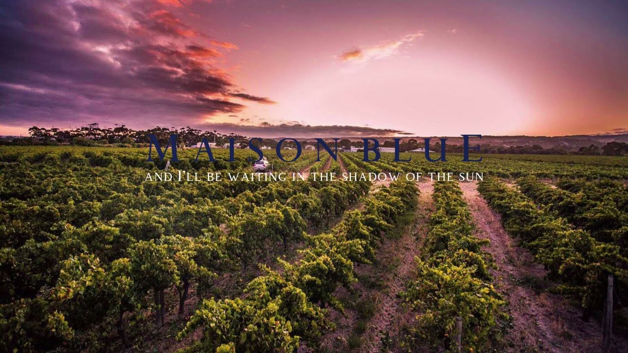 Maison Blue Wines | established in 1995 in the McLaren Vale region of South Australia~