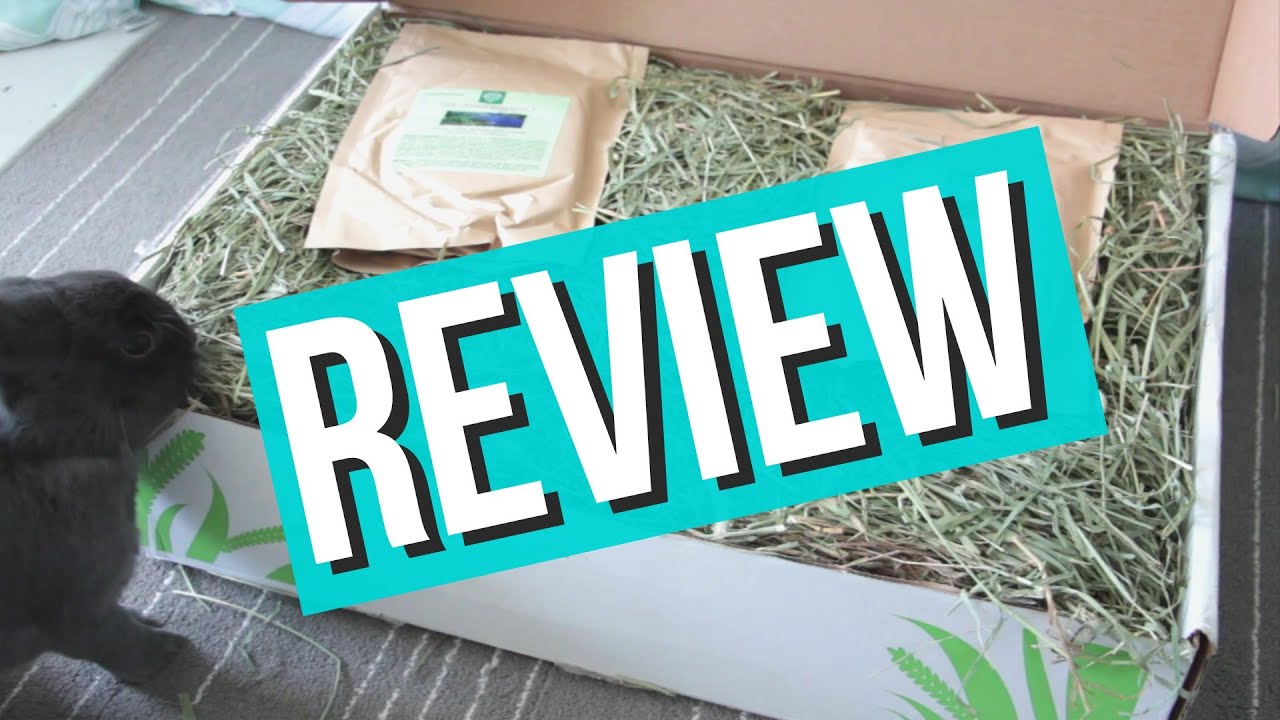 SmallPetSelect Review/Unboxing