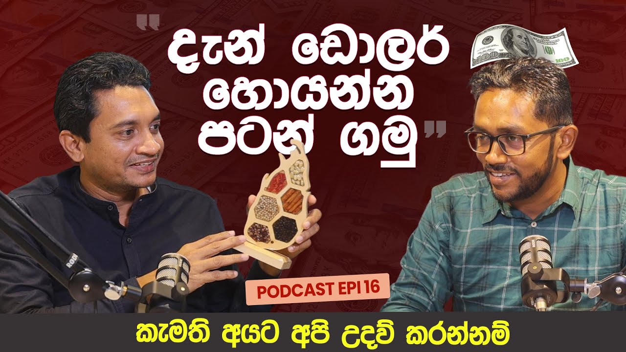 දැන් ඩොලර් හොයන්න පටන් ගමු | How Sri Lankans Can Earn Dollars Through Exports