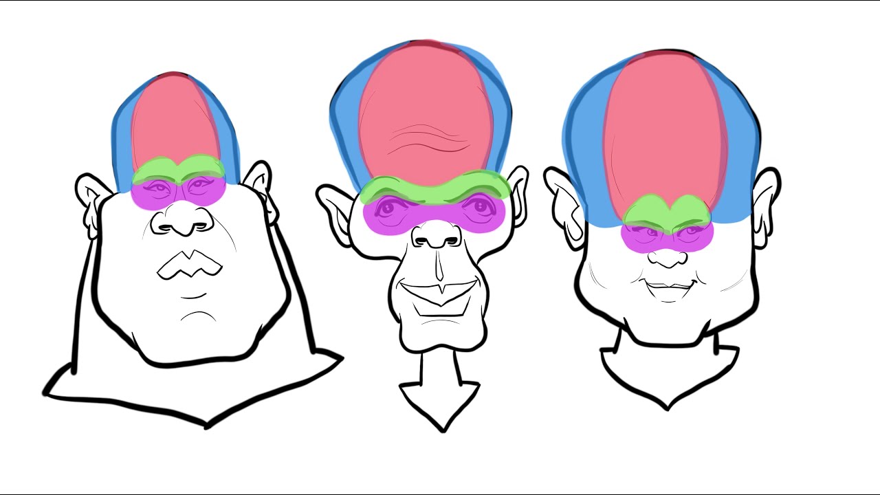 The 4 regions of the Upper Face