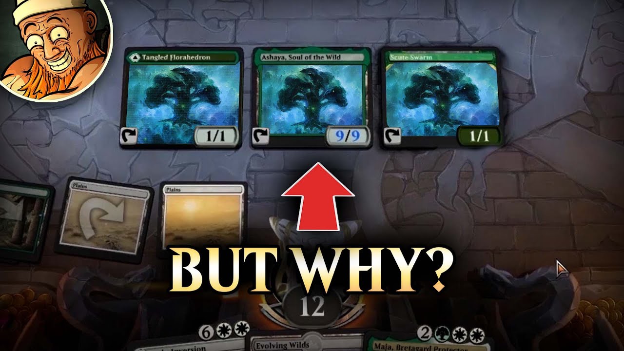 I Turned my Creatures into Forests... You'll See Why | Brewer's Kitchen
