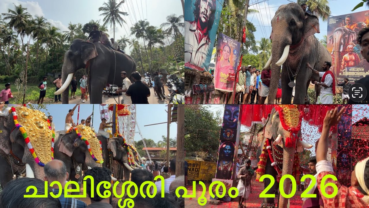 ചാലിശ്ശേരി പൂരം 2026/chalisseri pooram /dudus midea/