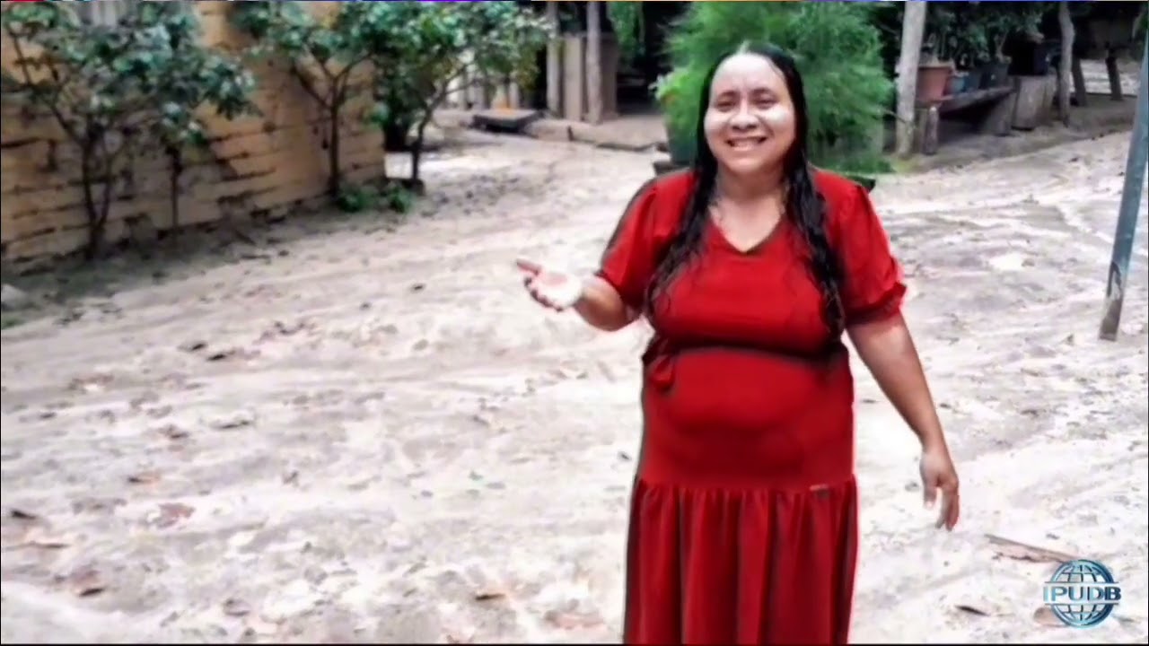 Programa TV IPUDB ao vivo 
