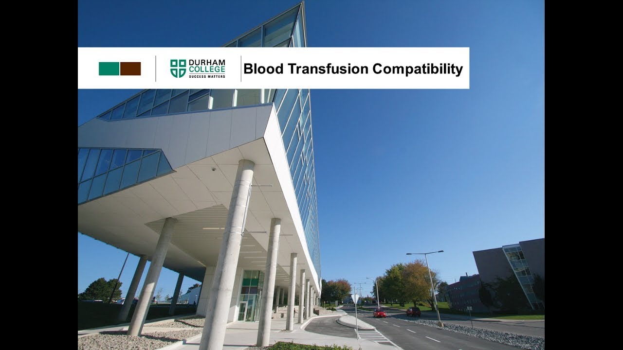 Blood Transfusion Compatibility
