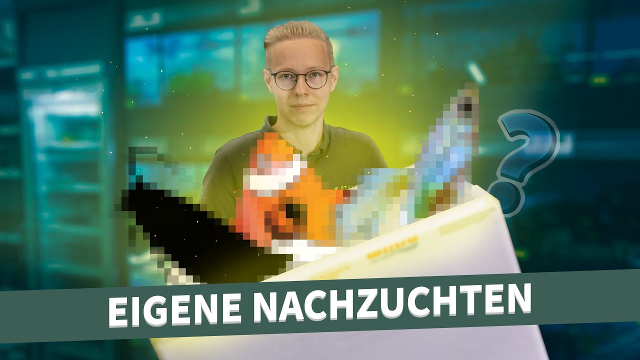 Diese Fische züchtet Renè selbst! | UNBOXING