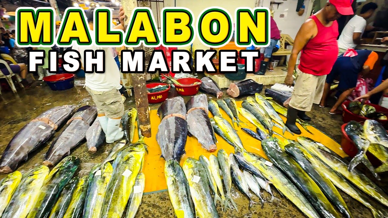 MALABON FISH PORT End-of-Year Frenzy | Can You Survive Malabon Fish Port Chaos?