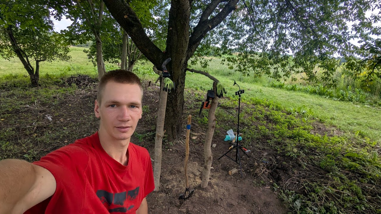 Survival and Fitness: Building Parallel Bars from Scratch in My Backyard