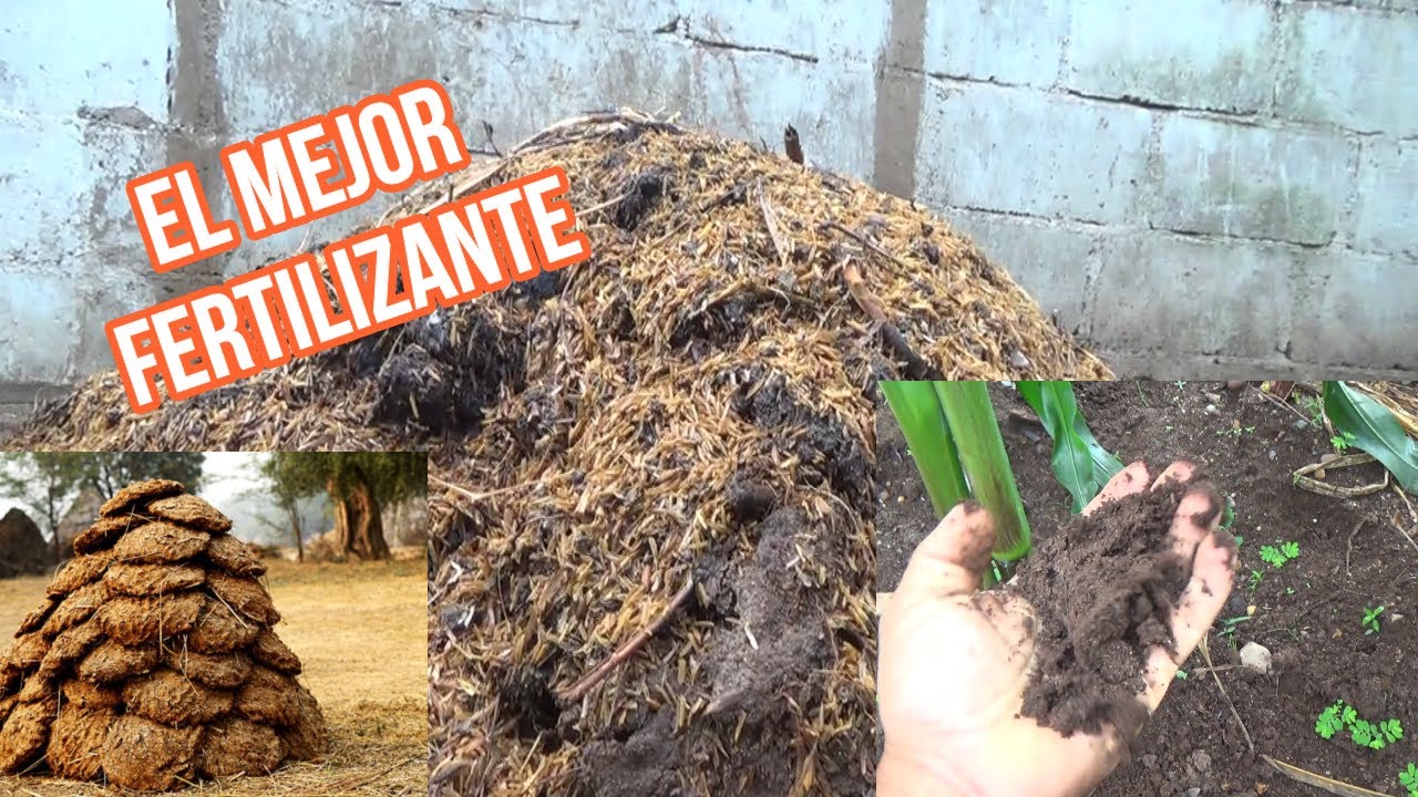 LO que no SABÍAS de los FERTILIZANTE de  ESTIÉRCOL
