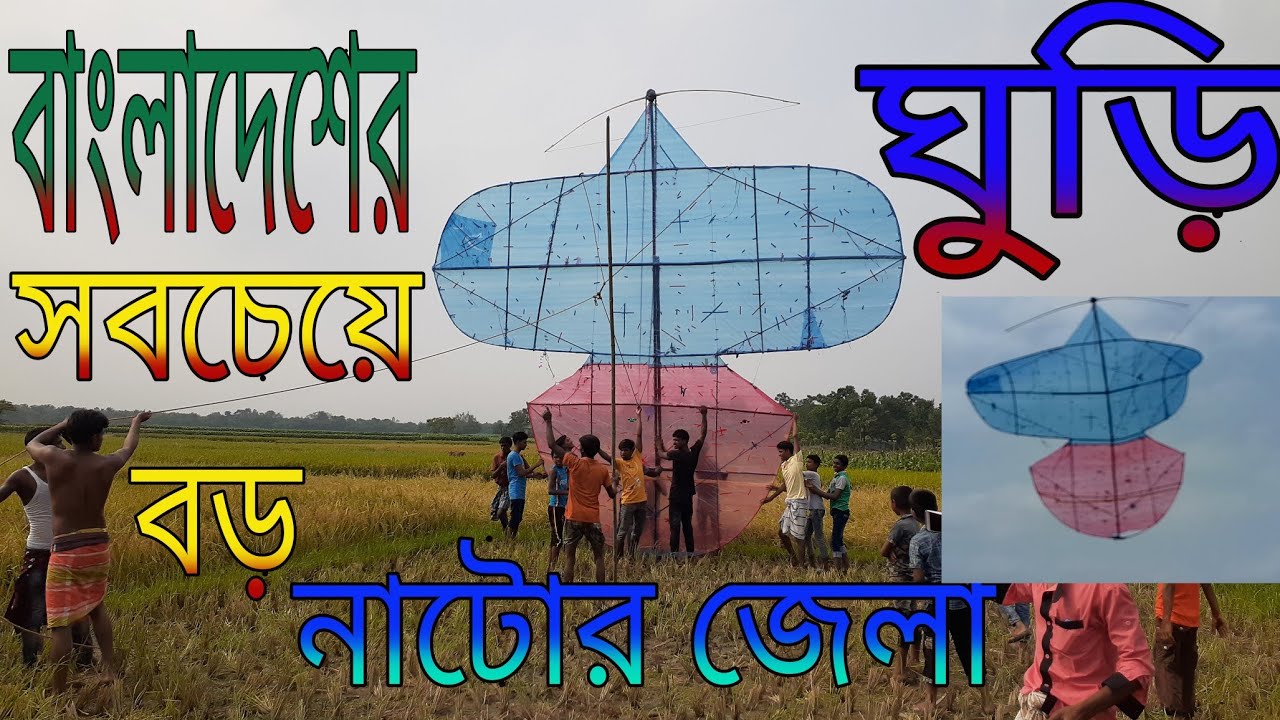 বাংলাদেশের সবচেয়ে বড় ঘুড়ি নাটোর New video