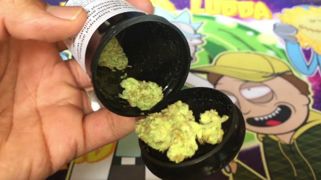 Papaya Punch by Llama Brand Denver High Times Cannabis Cup Entry #8 from the Hybrid Flower Category