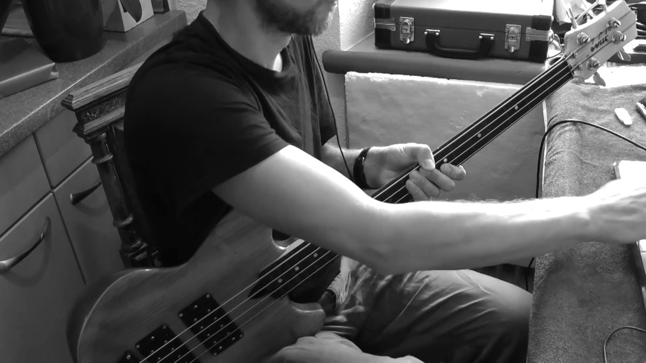 LEITNERJOE - THANK YOU MR. SALMON - Wal Fretless Bass
