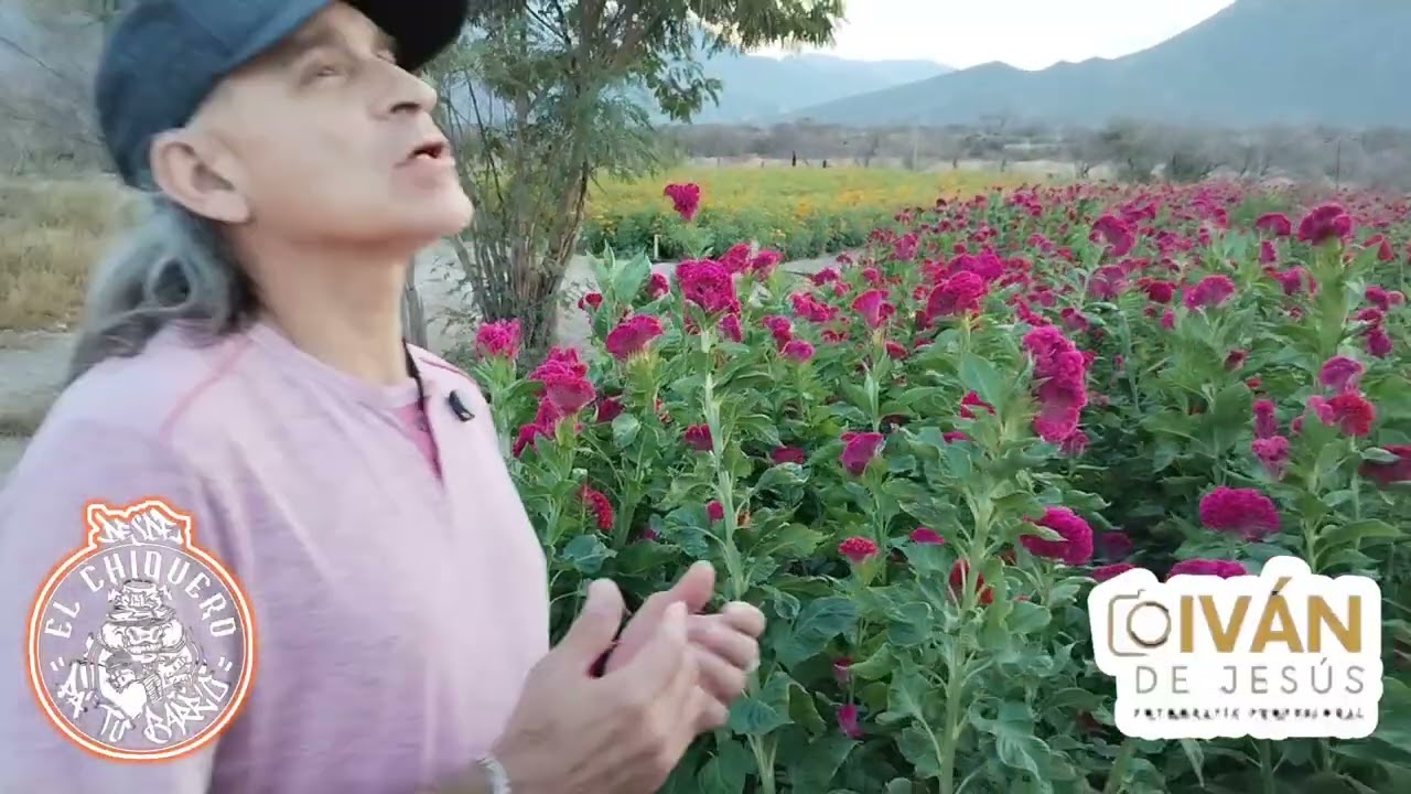 Desde El Chiquero Pa Tu Barrio visitando el Rancho Rivera en la candelaria n.l. Campo de cempas&uacute;chil