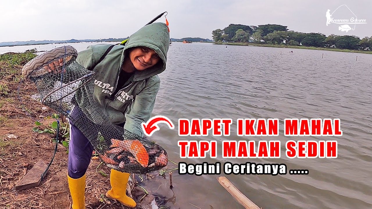 SELAIN BONCOS, INILAH HAL YANG DITAKUTI OLEH YOUTUBER MANCING ! Fishing Story Eps 110