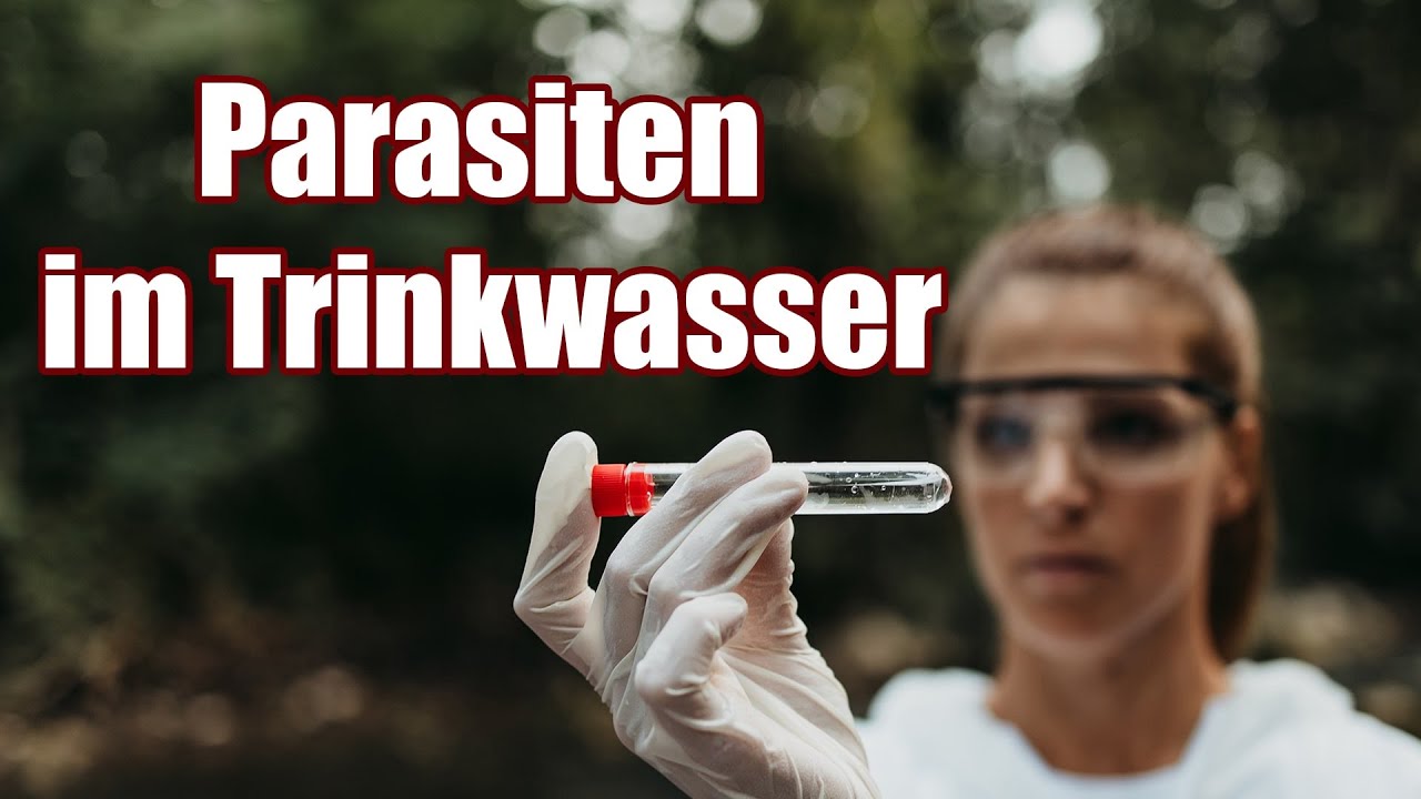 Parasiten im Leitungswasser & Trinkwasser | Biofilme, Am&ouml;ben, Legionellen, Grenzwerte | Aquos Monic
