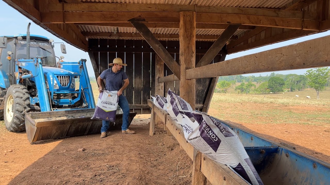 Abastecendo as cocheiras da fazenda com proteinado!Levei 600 kg de produto na concha do trator Ls