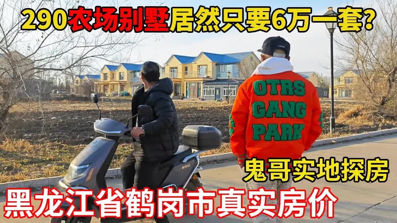 6万买别墅不是梦？鬼哥全程纪实拍摄，揭秘鹤岗 290 农场的真实房价！【鬼头看房】 #房价 #鹤岗房价 #别墅