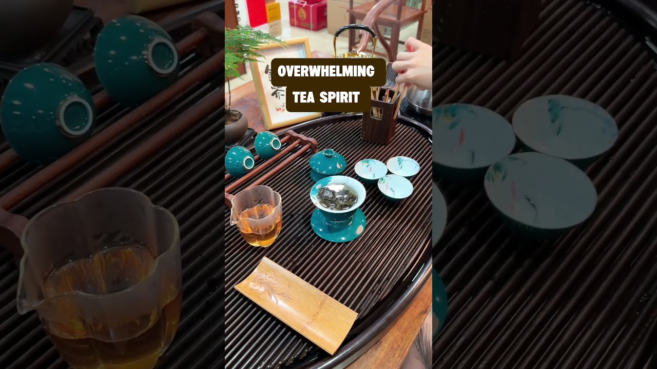 Demonstration of brewing tea with a gaiwan traditional Chinese gaiwan tea training#TeaArt #GaiwanSet