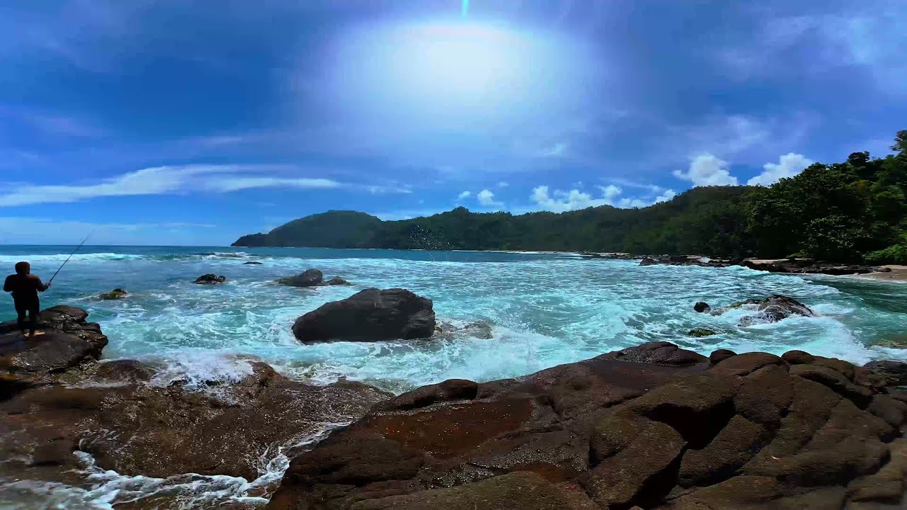 Coastal Dreams: Gentle Waves Embrace Your Sleep Cycle
