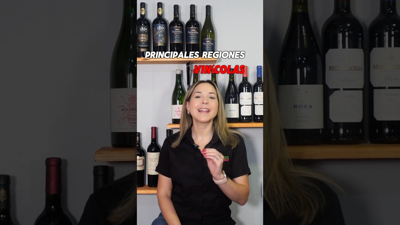 Principales regiones vinícolas de Francia 🇫🇷 Parte 1 🍷