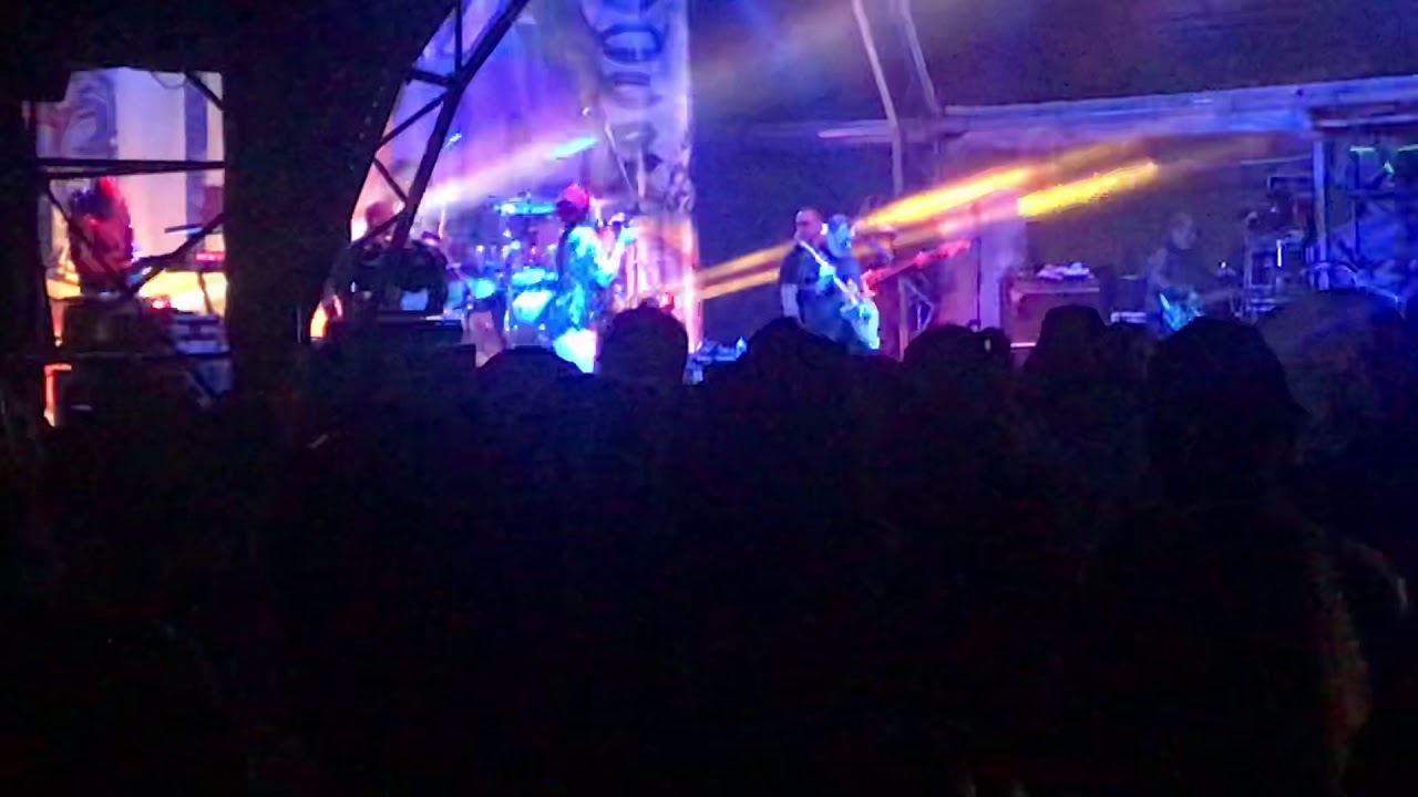 Cherry o baby. UB40. Waitangi New Zealand February 2019. Ali and Astro