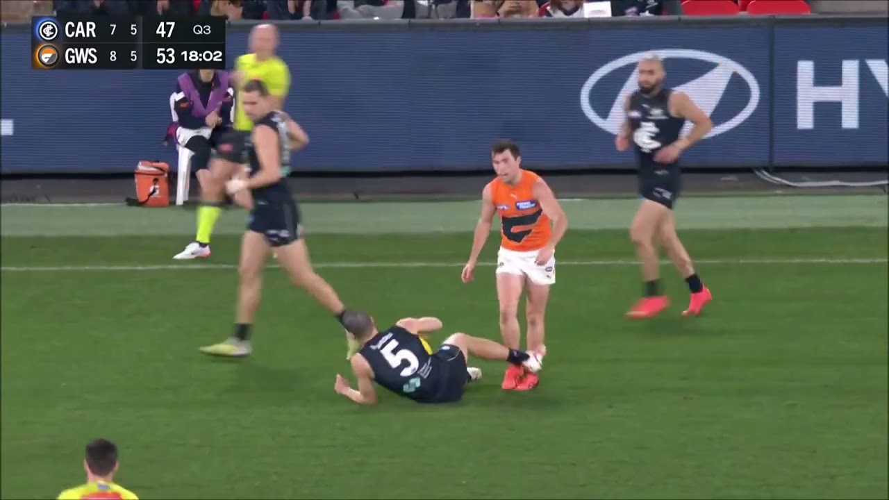 Adam Cerra - AFL Round 24 2023 Highlights