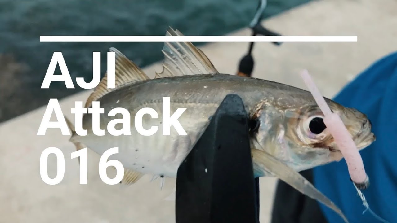 【AJI Attack 016】