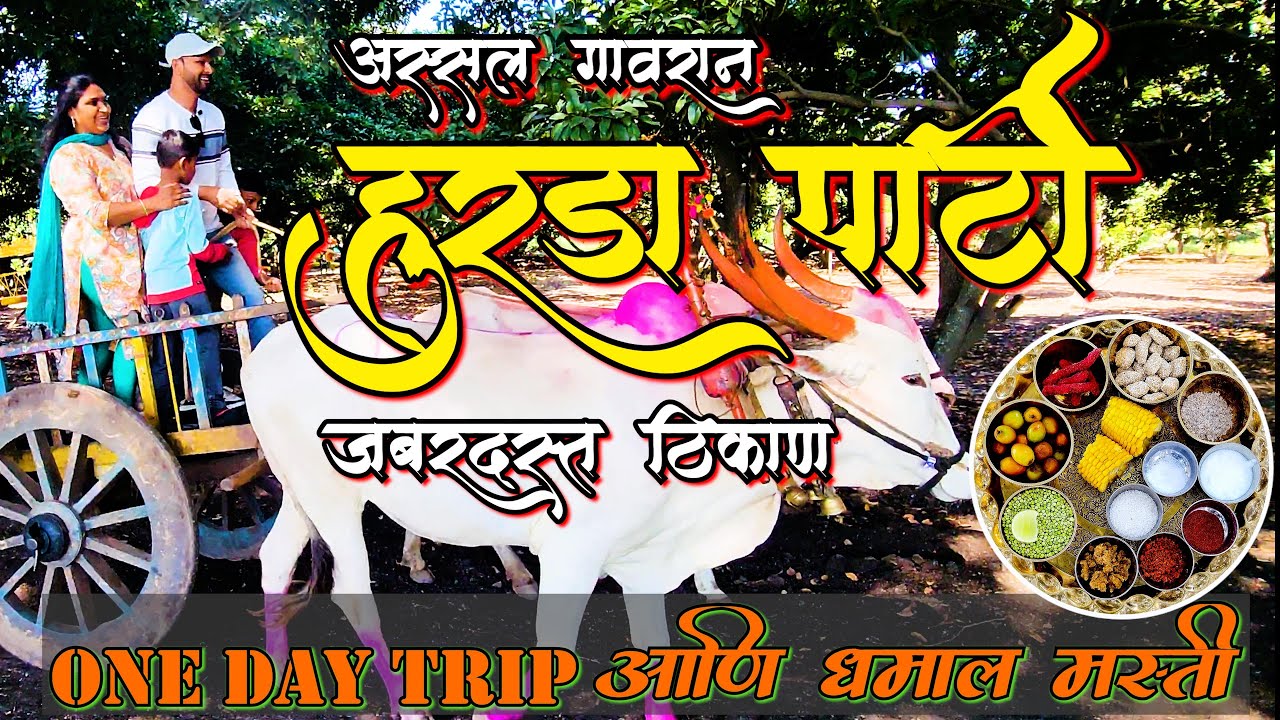 हुरडा पार्टी चालू झाली 😍 | ₹७५० मध्ये हुरडा, गावरान जेवण, बैलगाडी, ट्रॅक्टर | Hurda Parry Near Pune