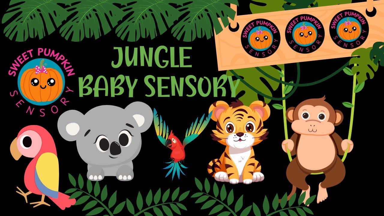 BABY SENSORY. High Contrast Video. JUNGLE ADVENTURE! Toddler Songs. #babysensory