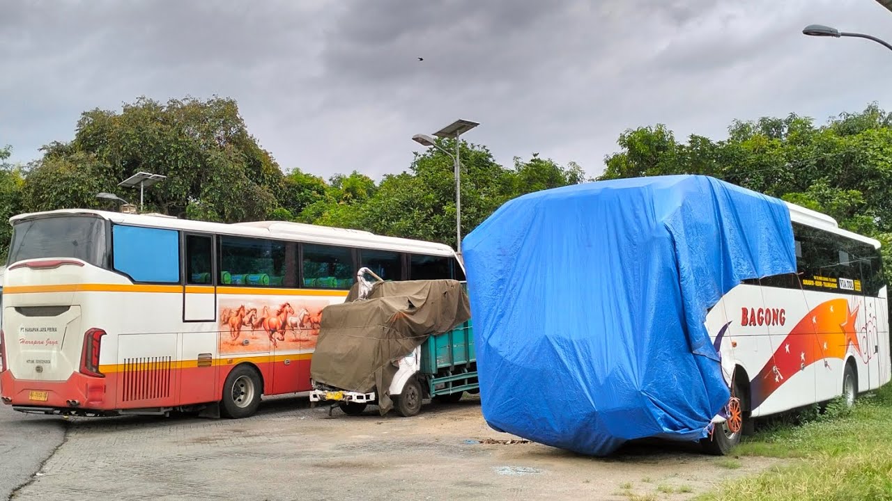BUS BAGONG DAN HARAPAN JAYA HARUS PARKIR DI JEMBATAN TIMBANG POJOK TULUNGAGUNG