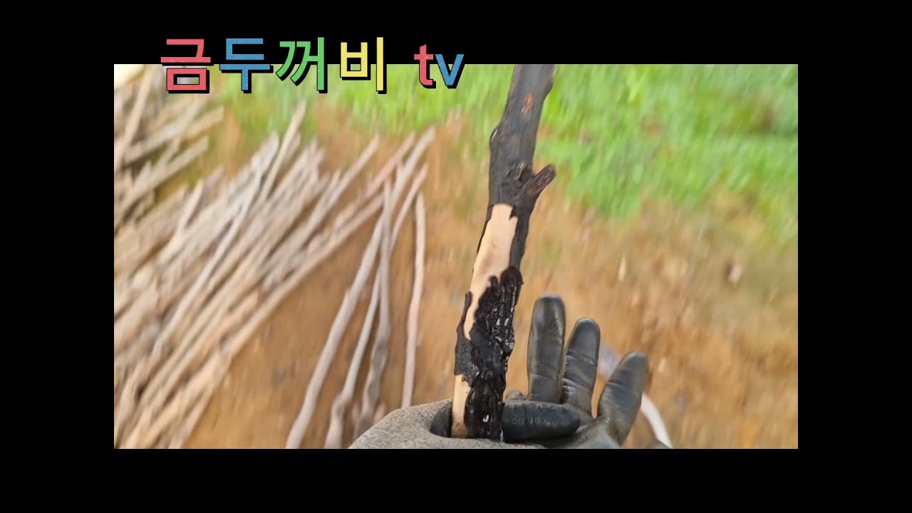 연수목 지팡이 만들기(1편)