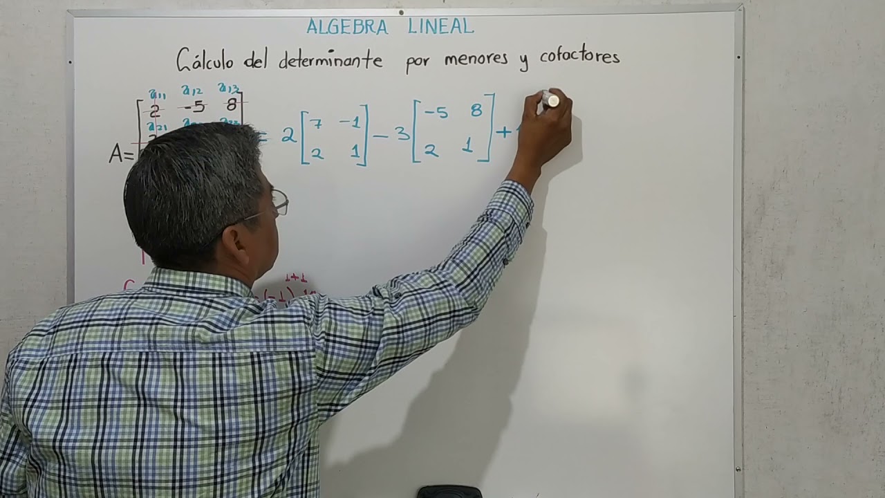 Calculo del determinante de una  matriz 3X3 por menores y cofactores