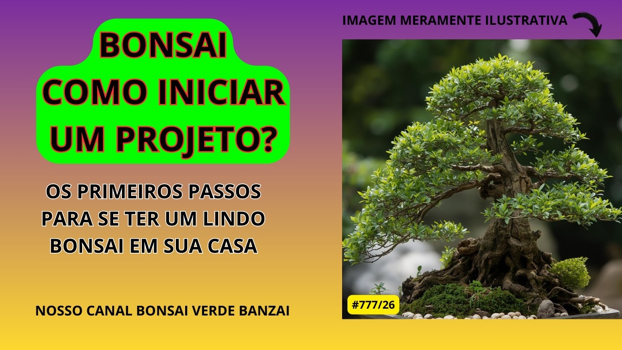 #BONSAI, COMO INICIAR?       #PauloBonsai​​​​​​​​​​​😉😍
