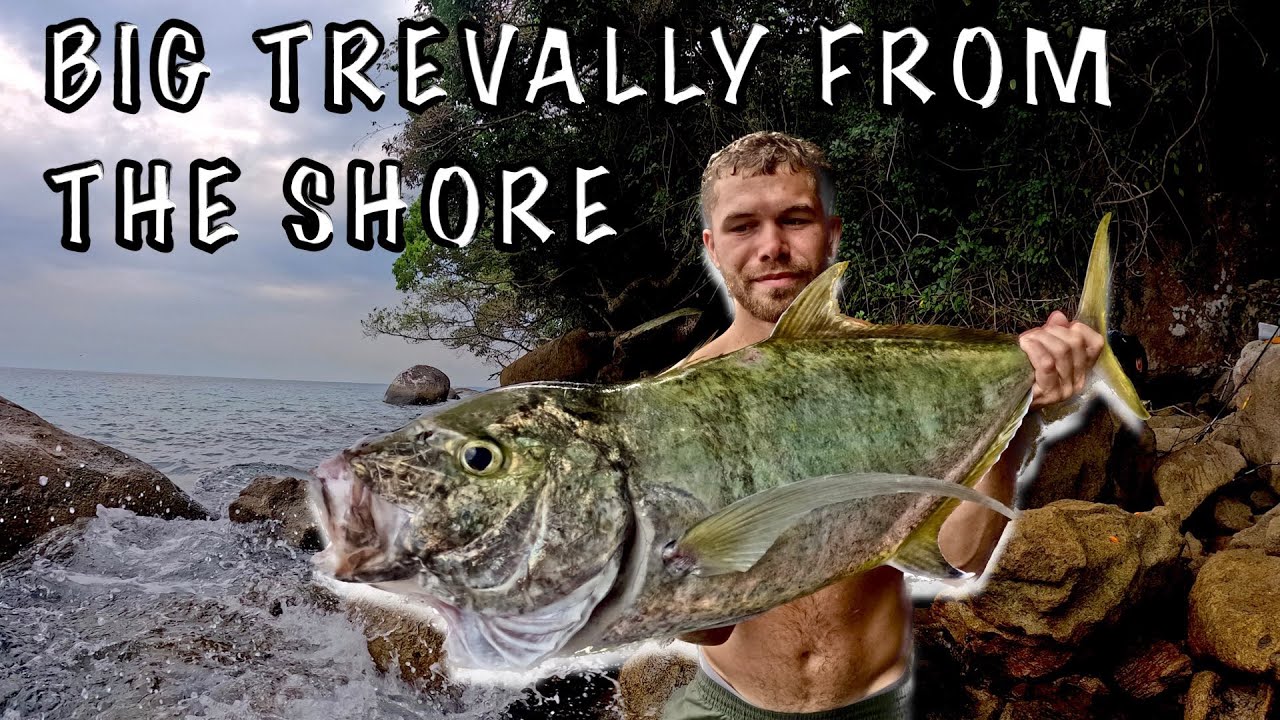 ROCK FISHING MALAYSIA || BIG TREVALLY SMASHES MY POPPER
