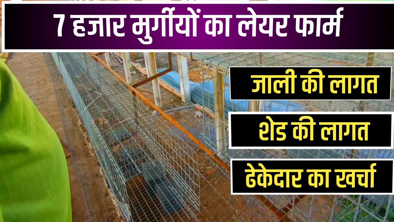 लेयर फार्म कैसे बनवाये | layer poultry farm construction