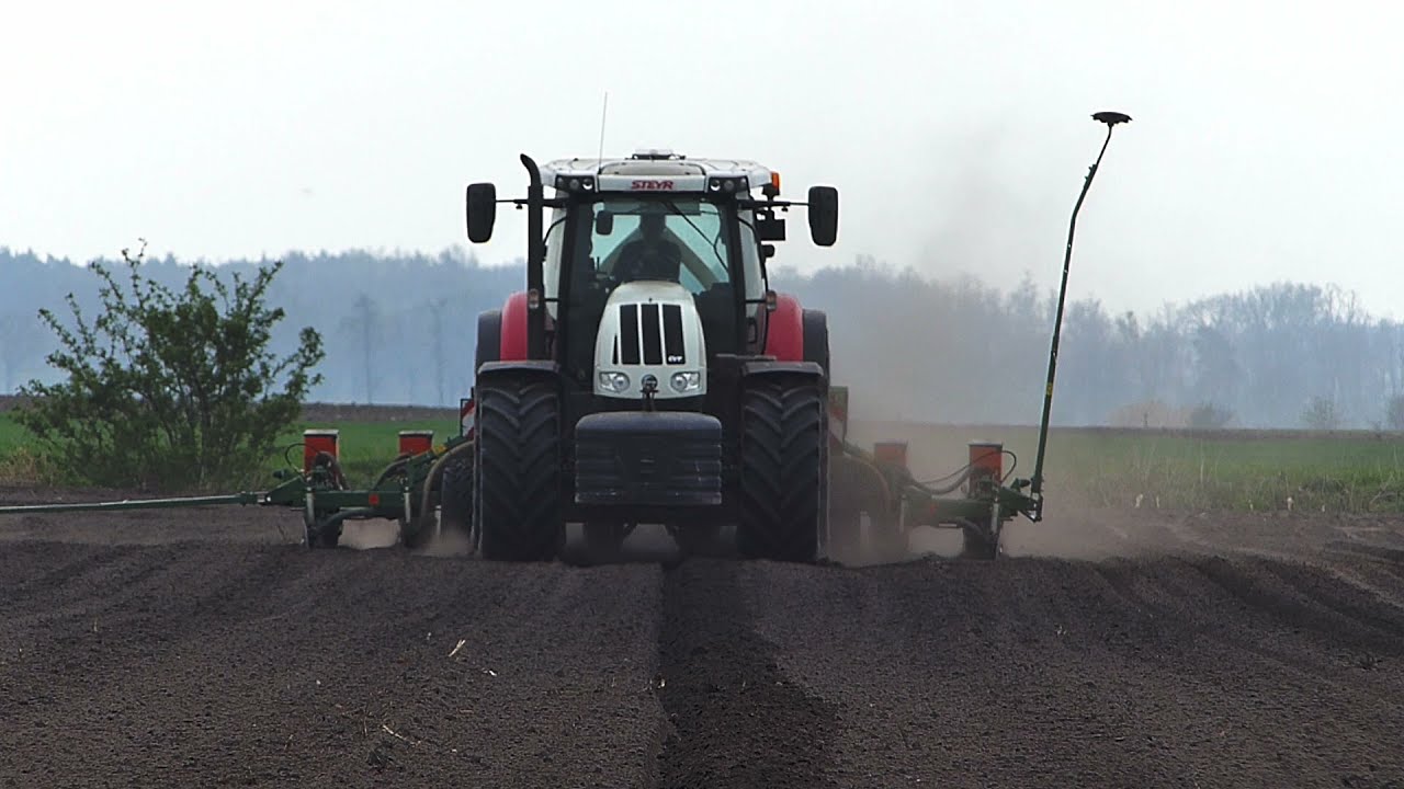 🌽 STEYR 6230 CVT AMAZONE ED 602-K Siew kukurydzy na ziarno 2021