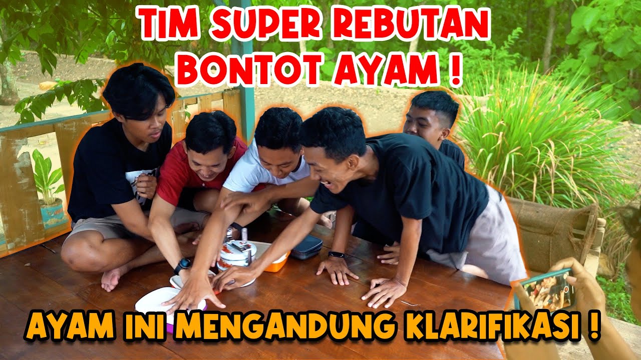 TIM SUPER JOLTOT AYAM AYAMAN l ADA AYAM Q4MPUS AYAM TIREX & AYAM KLARIFIKASI !