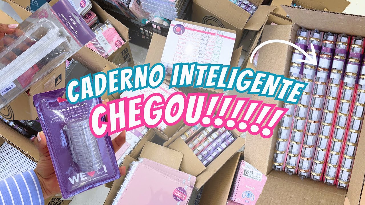 CHEGOU! Lançamentos Caderno inteligente da Hello Kitty, Luluca e mais!