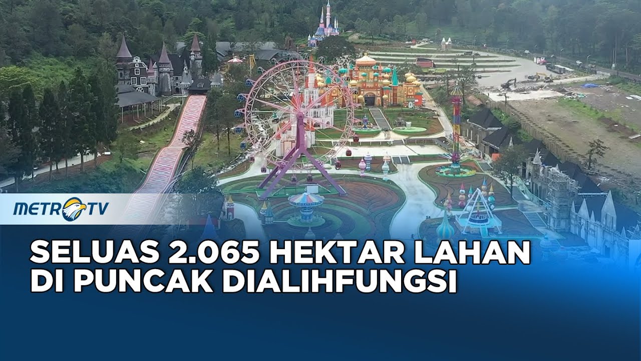 Penyerobotan Lahan di Wilayah PTPN VIII Gunung Mas Bogor Mencapai 100 Hektar #realitas